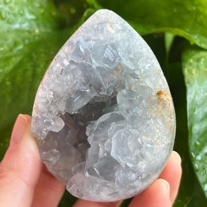 May include: A light blue celestite crystal geode, teardrop-shaped, with a hollow center. The crystal has a rough, textured surface and is held in a hand. The background is blurred green foliage.