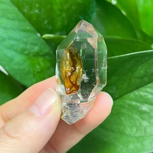 Peut inclure: Un cristal de quartz transparent et pointu présentant une inclusion allongée de couleur ambre distincte suspendue dans sa structure. Le cristal possède une forme géométrique à facettes avec une pointe acérée et une base texturée.