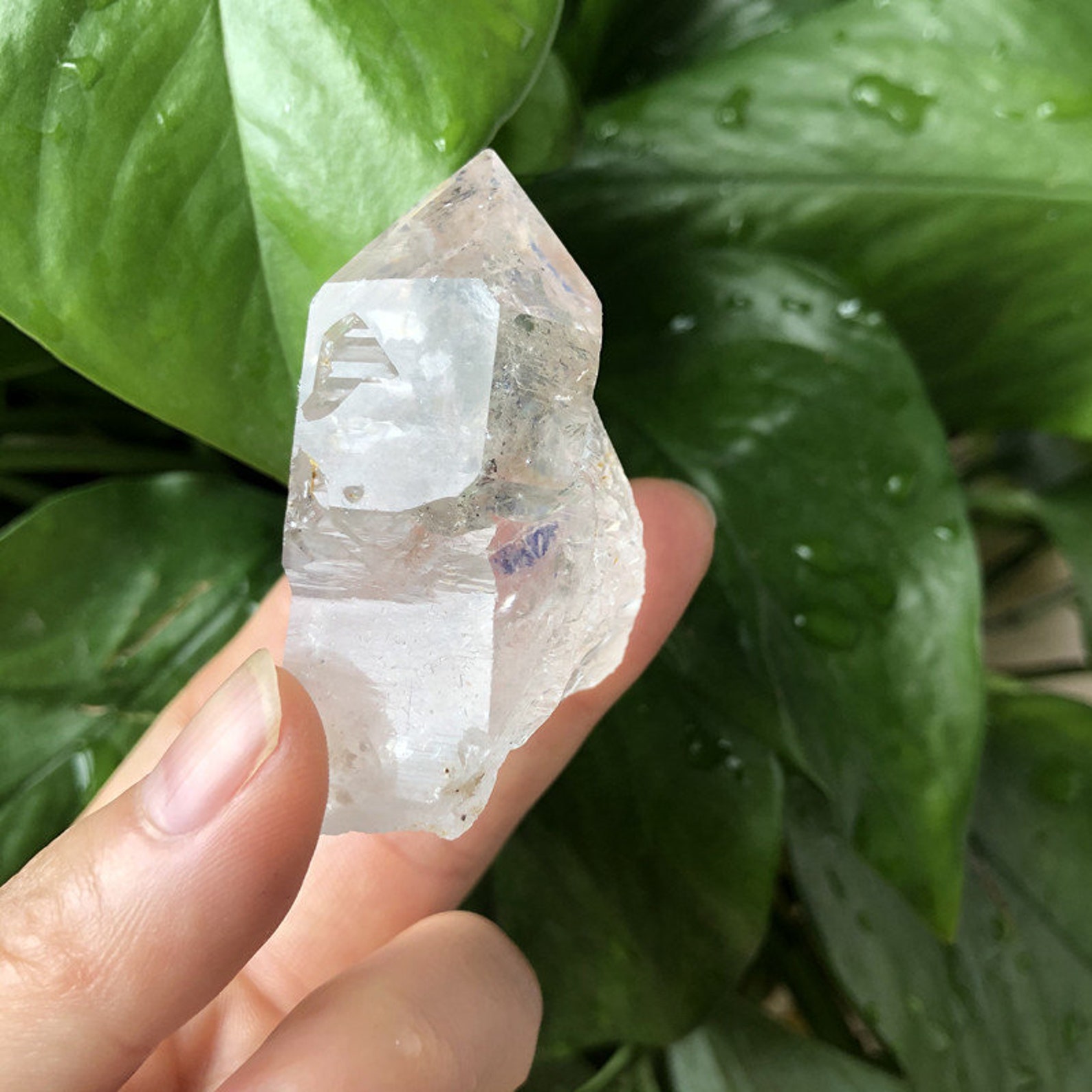 Natural Moving Water Bubble Quartz Crystal Enhydro Skeletal Etsy