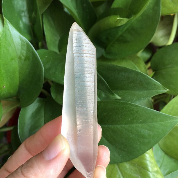 Natural Raw Rough Clear Lemurian Seed Crystal Quartz Point Wand Specimen Stone #22072705
