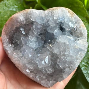 May include: A heart-shaped celestite geode. The geode features a light blue crystal interior and a tan exterior. The crystals are clustered together, creating a sparkling effect. The geode is held in a hand, with a green background.
