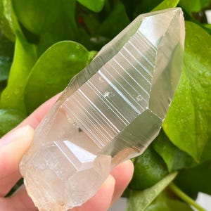 Natural Himalayan Quartz Lemurian Seed Quartz Point Specimen Stone #25011106