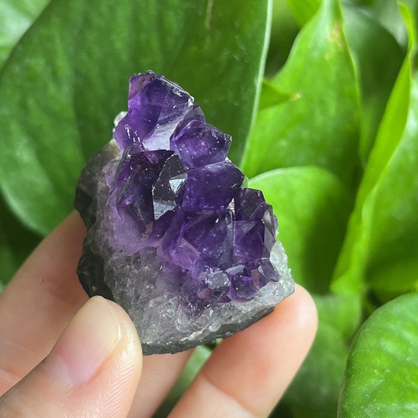 Améthyste violette naturelle naturelle, géode druze, cristal de bricolage, pierre de guérison, pierre précieuse, guérison Reiki # 24032903