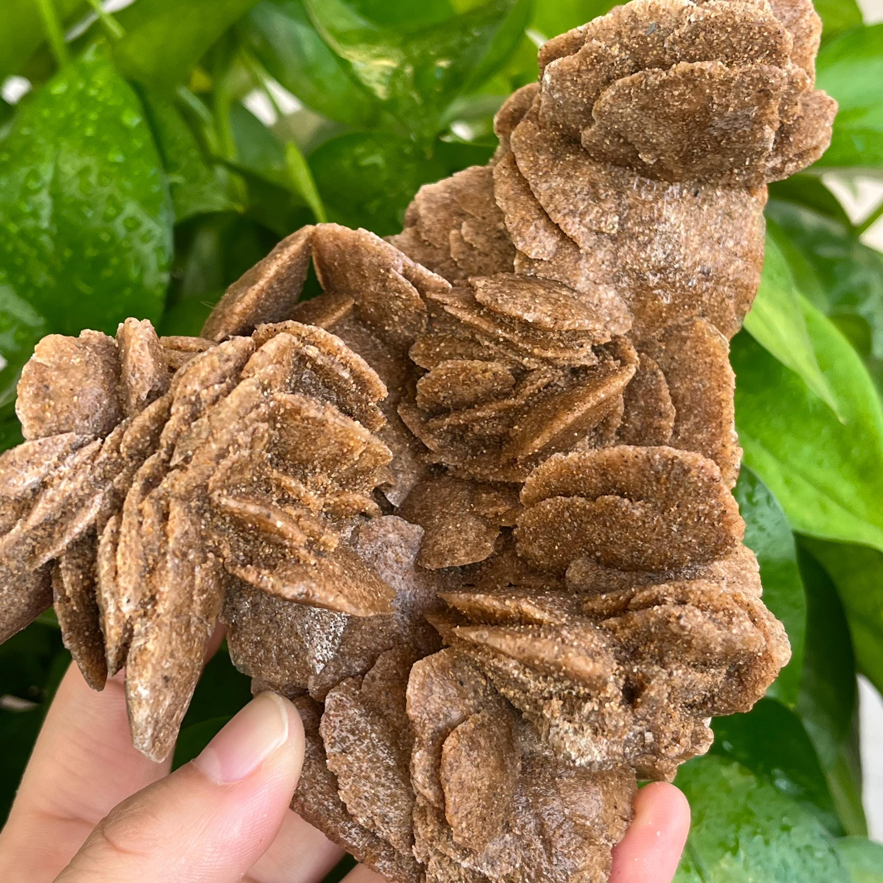 水晶など、ジオード、デザートローズ Desert rose crystal - Etsy 日本