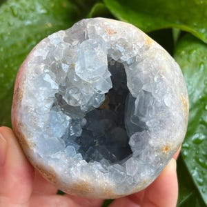 May include: A round, polished celestite geode with a light blue crystal interior. The outer shell is a mix of white, tan, and pink hues. The geode's cavity is filled with sparkling, light blue crystals.