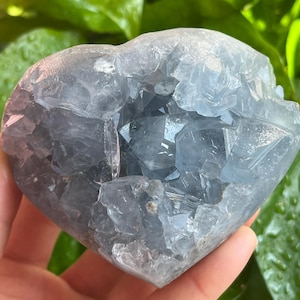 May include: A heart-shaped, light blue celestite crystal. The crystal has a rough, textured surface with visible crystalline structures. The color varies from pale to medium blue, with some areas appearing more translucent. The crystal is a natural mineral specimen.