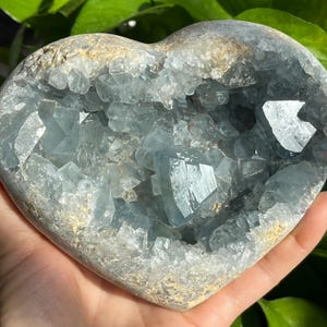 May include: A heart-shaped celestite crystal with a natural, raw exterior and a hollow interior filled with sparkling, light blue crystals.