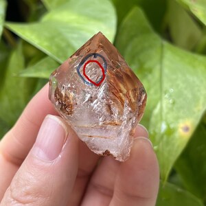 Op de afbeelding: Een helder kwartskristal met een roodbruine insluiting. Het kristal is piramidevormig en heeft een glad, gepolijst oppervlak.