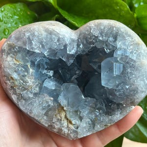 May include: A heart-shaped celestite crystal geode. The geode is a pale blue color with a cavity filled with crystalline structures. The outer surface has a rough texture, and the crystals inside are a darker shade of blue.
