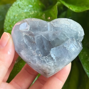 May include: A heart-shaped, light blue crystal formation. The crystal has a rough, textured surface with a hollowed-out center. The crystal is held in a hand, with green foliage in the background.