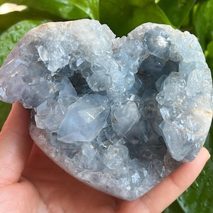 May include: A heart-shaped celestite crystal geode. The geode is a pale blue color with crystalline structures. The crystals are clustered together, creating a textured surface. The geode is held in a hand.
