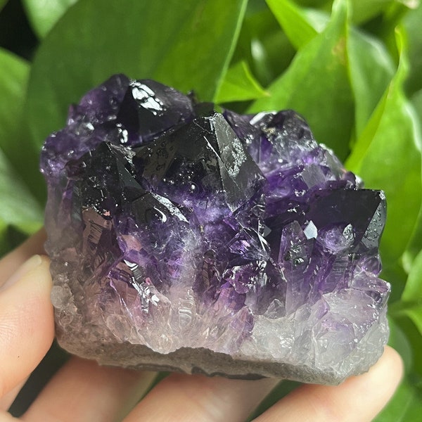 Améthyste violette naturelle naturelle, géode druze, cristal de guérison, pierre précieuse, guérison Reiki # 24032807