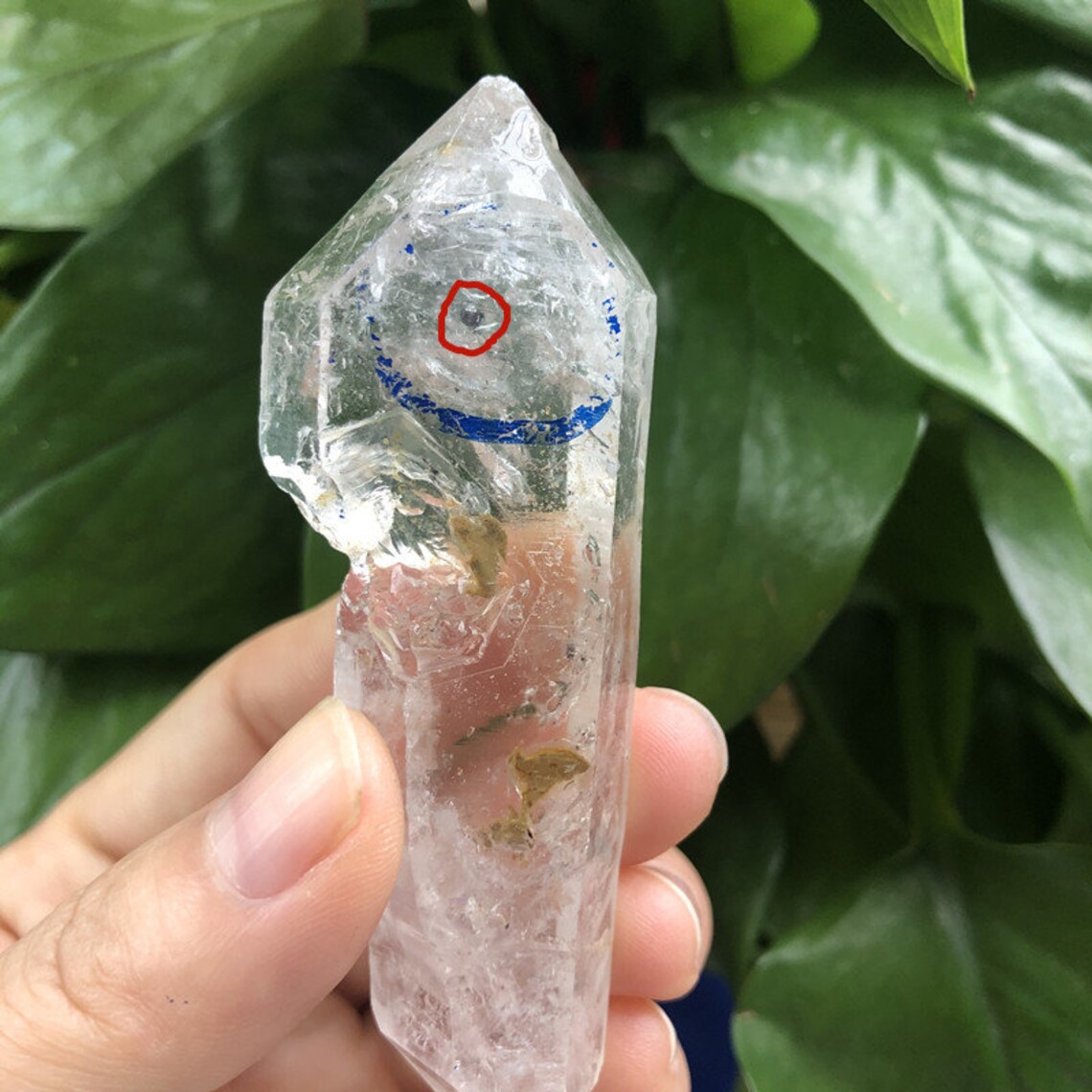 Natural Moving Water Bubble Quartz Crystal Enhydro Skeletal Etsy