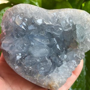 May include: A heart-shaped celestite crystal geode. The geode features a light blue color with crystalline formations. The crystal is held in a hand, with a blurred green background.