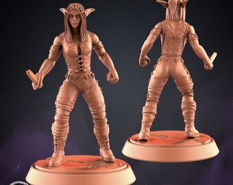 Puede incluir: Una miniatura de guerrera elfa femenina impresa en 3D sosteniendo una daga. La miniatura está pre-soportada y viene en una escala de 32 mm. El diámetro de la base es de 25 mm.