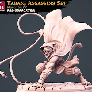 Assassin Miniature - Tabaxi Rogue