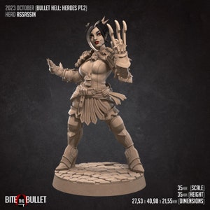 Hero Assassin - Female Rogue - 32mm, 35mm Scale - Unpainted Miniature for DnD, Pathfinder, Tabletop RPGs - Bite the Bullet