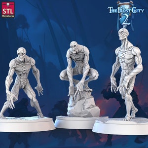 May include: Three white 3D printed miniatures of skeletal humanoid figures with different poses. The figures are standing on circular bases. The background is a blue and purple gradient with a forest scene. The text "The Frost City 2" is visible in the upper right corner of the image.