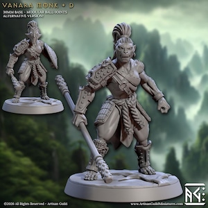 May include: A detailed, gray miniature figure of a Vanara Monk, a fantasy character, with armor and a staff. The figure is on a 30mm base and features modular ball-joints. The image includes the text "VANARA MONK + D" and "ALTERNATIVE VERSION!"