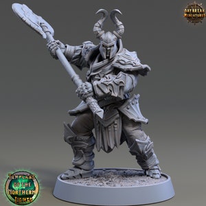 Human Paladin, Bertil Draperinn - Templars of the Northern Lights - 32mm Scale - Unpainted Miniature for DnD, Pathfinder, Tabletop RPGs