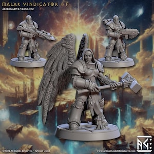 May include: A gray plastic miniature figure of a female warrior with wings, holding a large hammer. The figure is standing on a round base. The background is a blurry image of a fantasy landscape.