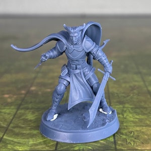 Tiefling Fighter - Tiefling Rogue
