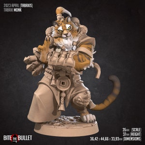 Tabaxi Monk - 32mm, 35mm Scale - Unpainted Miniature