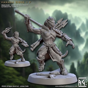 May include: A gray, detailed miniature figure of a Vanara Monk, holding a staff and trident. The figure is on a 30mm base with modular ball-joints. The text "VANARA MONK + F" and "ALTERNATIVE VERSION!" are visible.