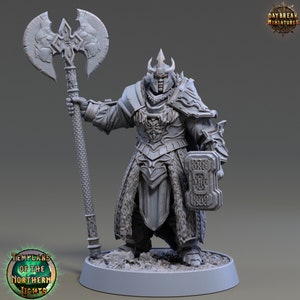 Holger Oather - Human Paladin - Templars of the Northern Lights - 32mm Scale - Unpainted Miniature for DnD, Pathfinder, Tabletop RPGs