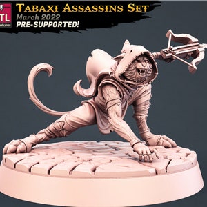 Assassin Miniature - Tabaxi Rogue