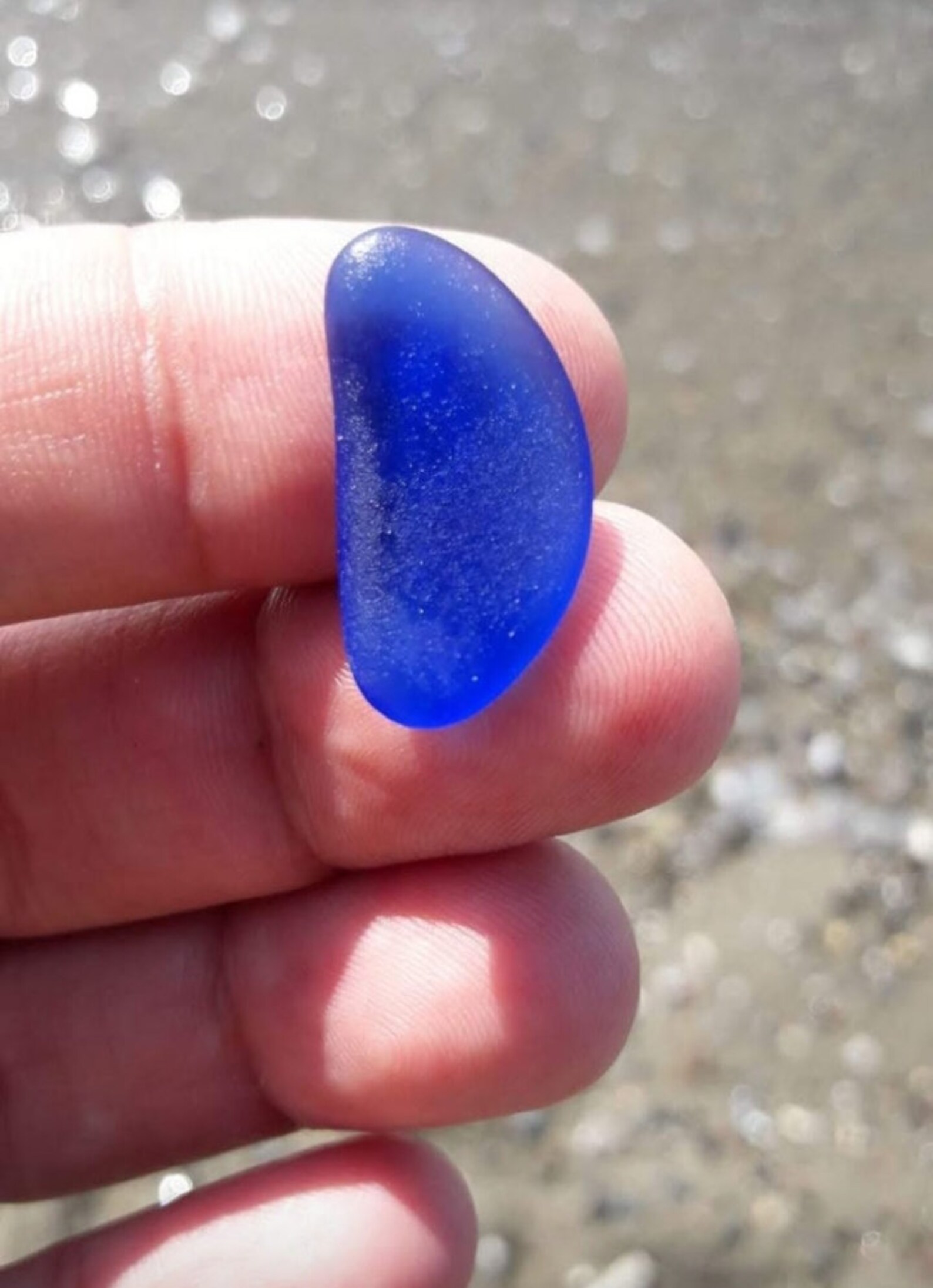 Sea Glass Art Seabed and Sea Glass Fish Marine Glass and Etsy