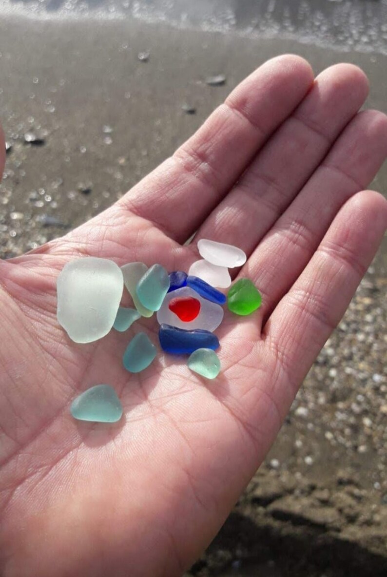 Sea Glass Art Sea Glass Indoor Garden or Greenhouse Framed Etsy