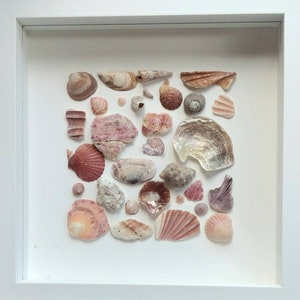 Picture with Shells - Sea Glass Pebble Art - Unique Handmade Framed - Art with Shells