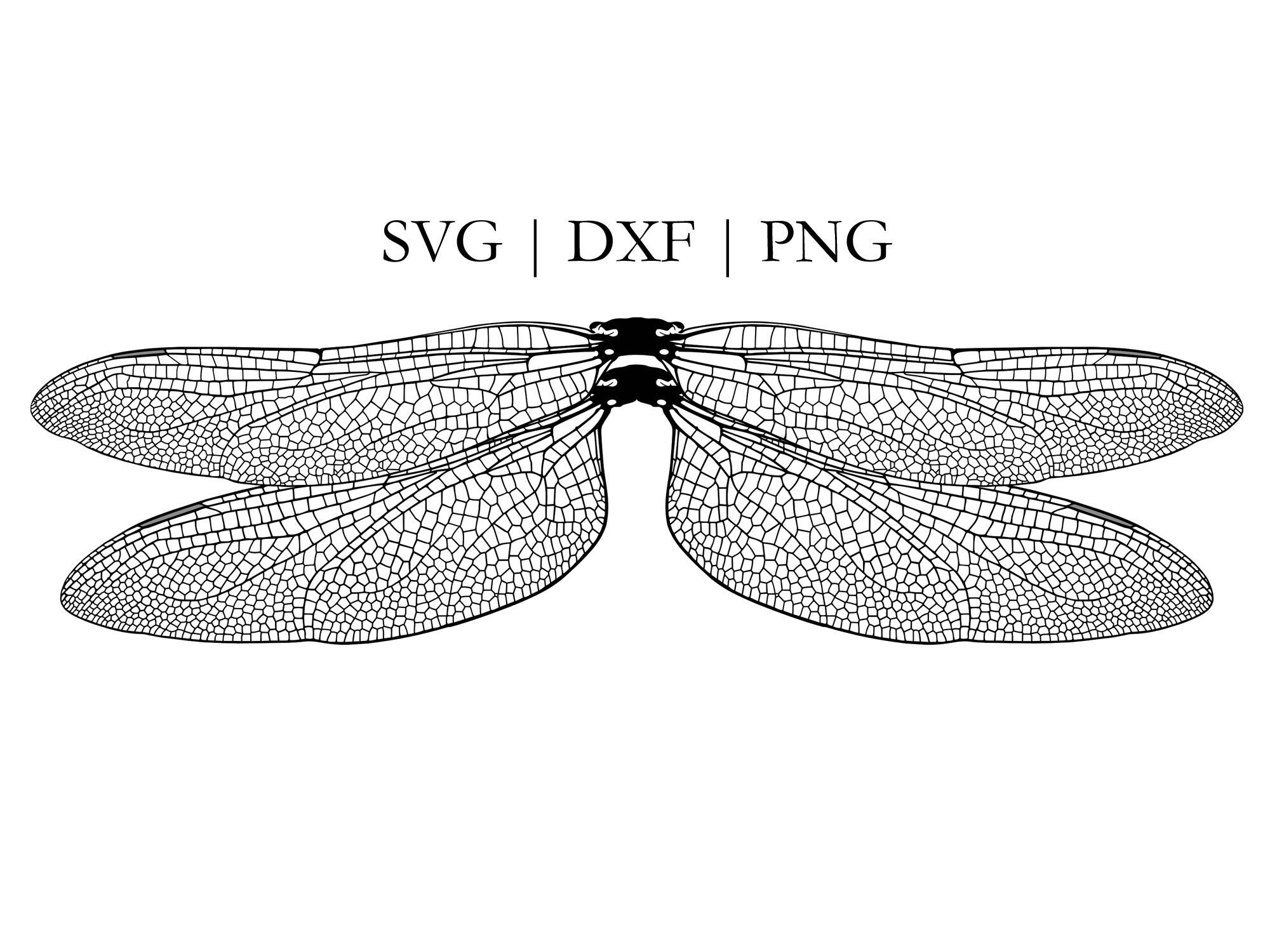 Dragonfly Wings Png Dragonfly Wings Png