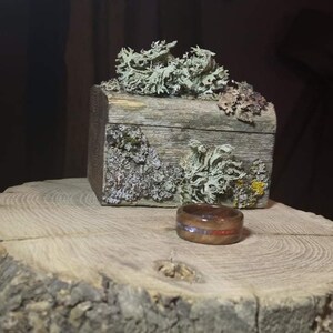 May include: A wooden ring with a blue and red inlay sits on a tree stump next to a small wooden box covered in moss.