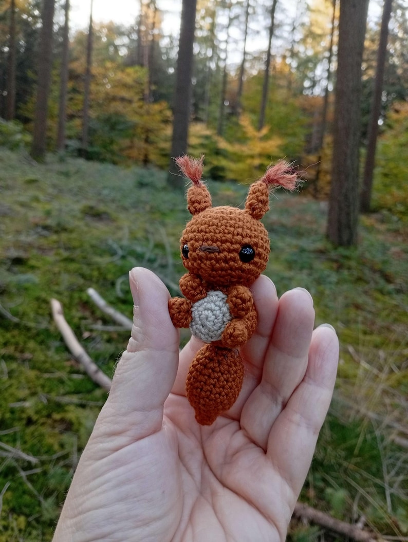 May include: A handmade crochet squirrel figurine in shades of brown and gray. The squirrel has small black eyes, a fluffy tail, and tufts of hair on its ears. The figurine is held in a hand against a blurred forest background.