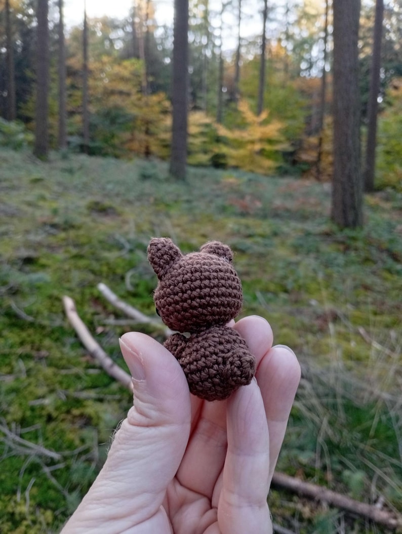 May include: A small, handmade brown crochet bear. The bear is held in a hand against a backdrop of a forest with green moss and tall trees. The bear's features include a rounded body and small ears.