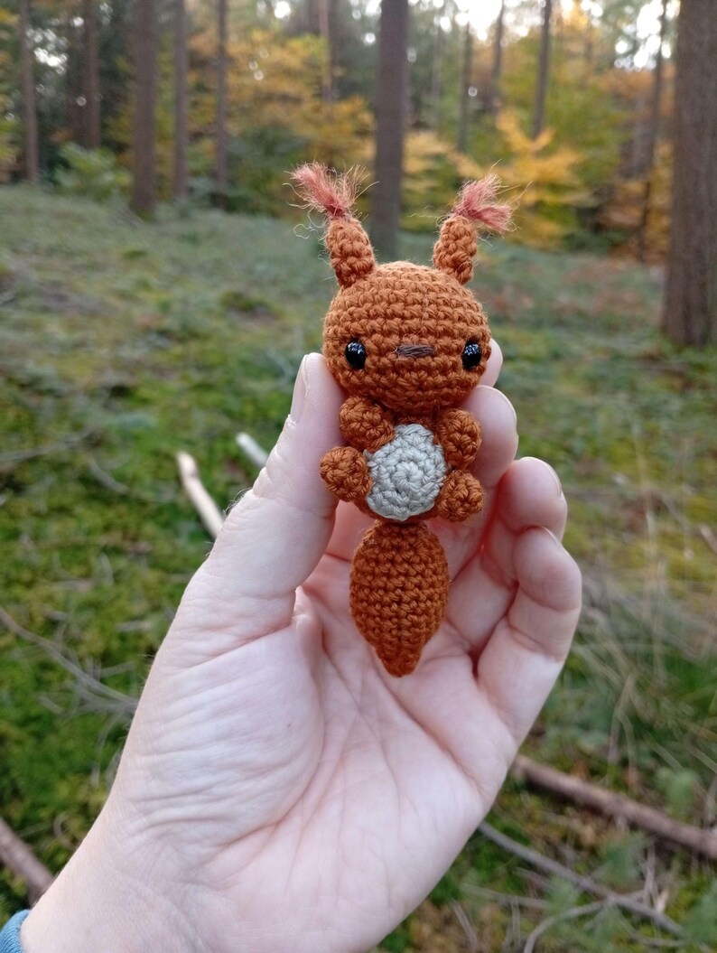 May include: A handmade crochet squirrel in shades of brown and gray. The squirrel has small, dark eyes, a fluffy tail, and tufts of hair on its ears. The squirrel is held in a hand against a blurred forest background.