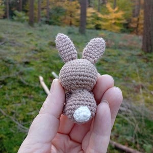 May include: A small, handmade crochet bunny in shades of brown and beige. The bunny has long ears, a round body, and a fluffy white tail. The amigurumi is held in a hand against a blurred forest background.