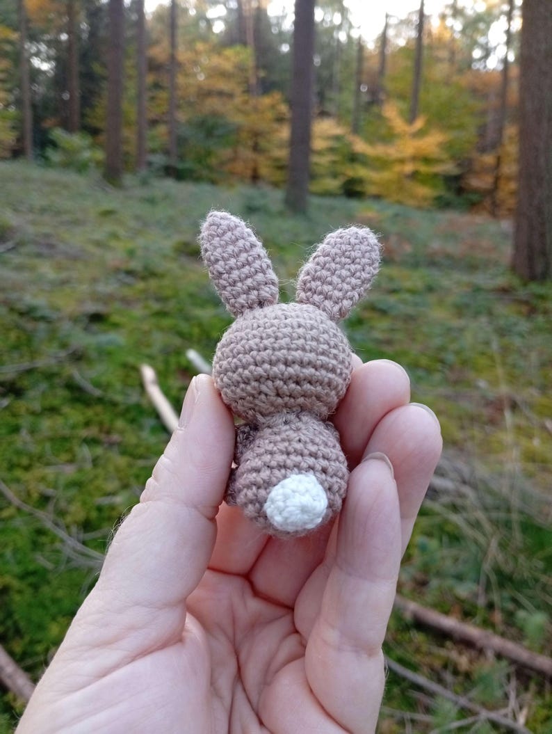 May include: A small, handmade crochet bunny in shades of brown and beige. The bunny has long ears, a round body, and a fluffy white tail. The amigurumi is held in a hand against a blurred forest background.