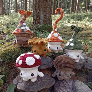 Witshrooms, mushroom amigurumi, Autumn, magical forest creature, forestcore, cottagecore, fairycore, handmade crochet
