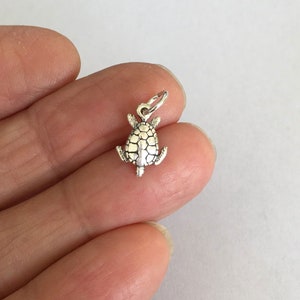 May include: A silver turtle charm with a detailed shell design. The charm is small and would be perfect for adding to a necklace or bracelet.