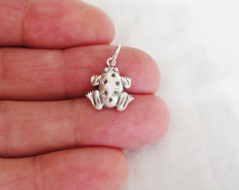 May include: A silver charm in the shape of a frog with a spotted texture. The charm is small and detailed.