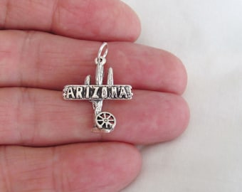 Solid Sterling Silver Arizona sign on cactus charm (Brand-new) (Brand new)