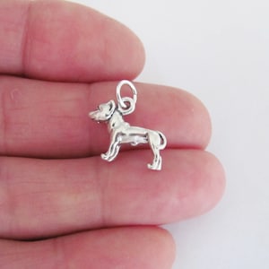 Solid Sterling Silver 3d Pit bull dog charm (Brand new)