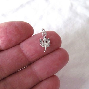 May include: A silver charm in the shape of a maple leaf.