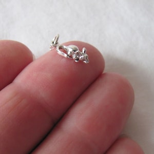 May include: A small silver charm in the shape of a mouse. The charm is about the size of a fingernail and is detailed with a curled tail and beady eyes.