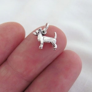 Very small Solid  Sterling Silver 3d Chihuahua dog mini tiny charm. (Brand new)