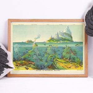 Vintage Geology Art Print, Levi Walter Yaggy Ocean Chart 1893, Oceanography Wall Art, Gift for Marine Biologist, Art for Living Room