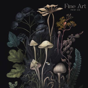 K&ouml;nnte beinhalten: Botanische Illustration mit verschiedenen Pilzen und Pflanzen in ged&auml;mpften T&ouml;nen vor schwarzem Hintergrund. Die Kunstwerke zeigen detaillierte Pilze, Bl&auml;tter und zarte florale Elemente, mit dem Text "Fine Art Print Co."